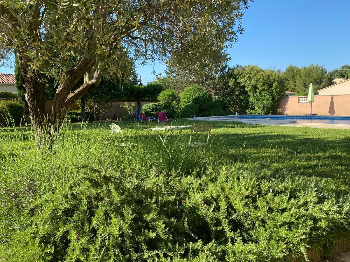 Villa Et Maisonnette Provencales Carpentras Dış mekan fotoğraf